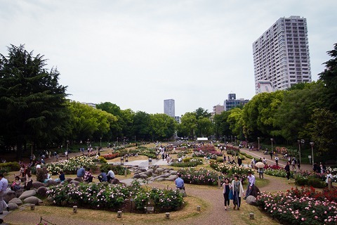 aR0514562.jpg