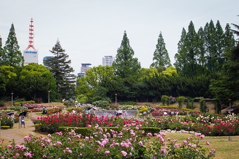 aR0514571.jpg