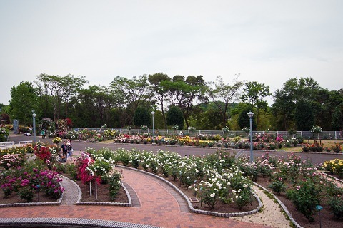aR0514586.jpg